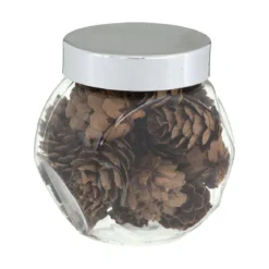 ACCESSOIRE BOCAL POMME DE PIN D.3CM X24 PIECES