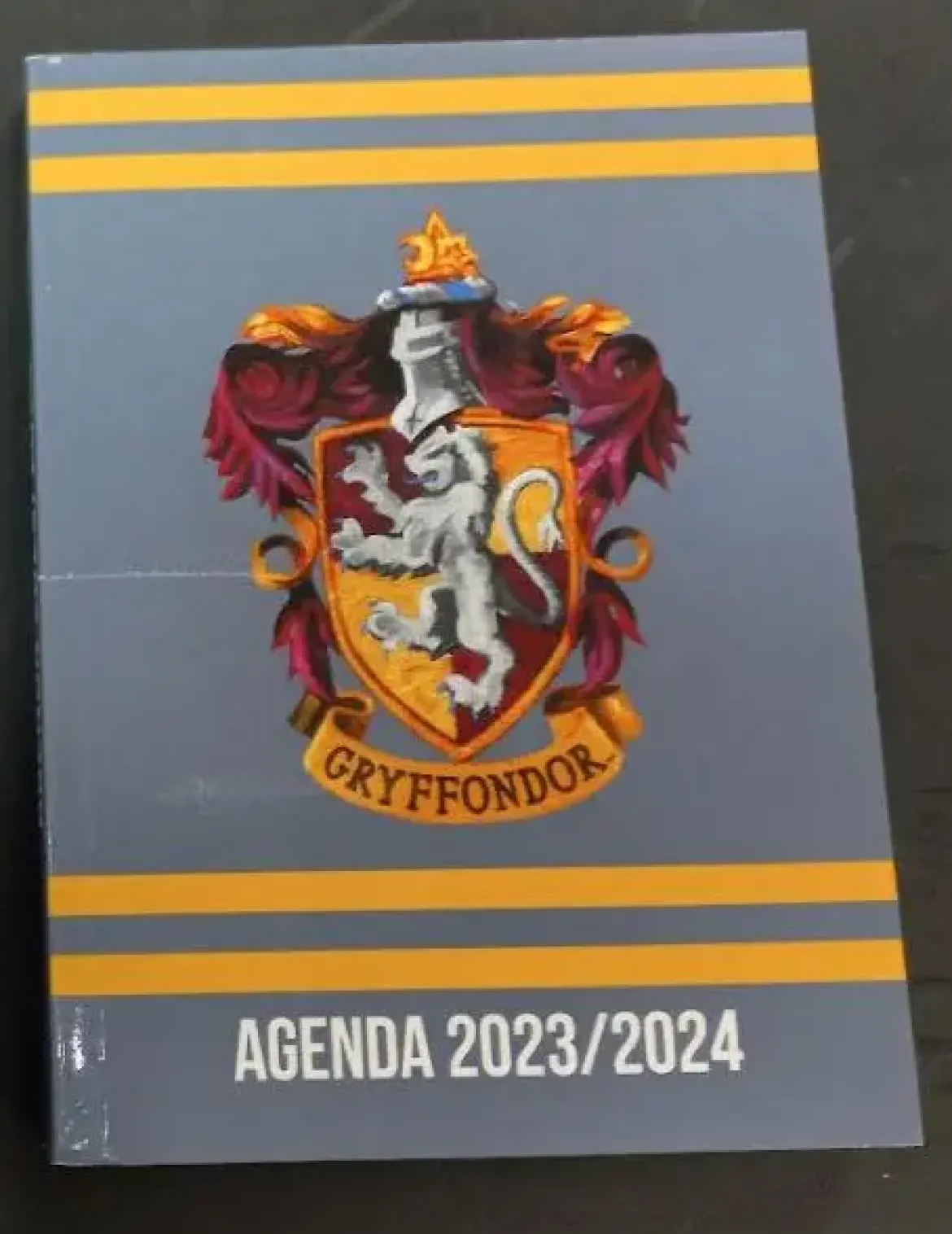 AGENDA HARRY POTTER GRIS 12X17CM