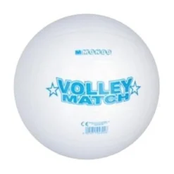 BALLON VOLLEY MATCH BIO D.21.6CM