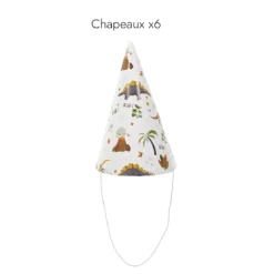 BOITE ANNIVERSAIRE DINOSAURE 53 PIECES