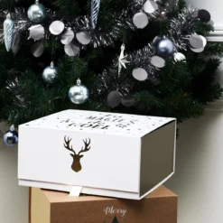 BOITE CADEAU NOEL 25X25X12CM