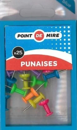 BOITE DE 25 PUNAISES MEMO