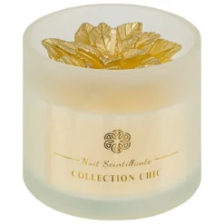 BOUGIE VERRE POINSETTIA 120G