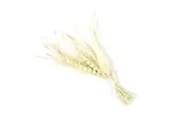 BOUQUET DE BLE ET GRAMINEES SECHES SUR CARTE