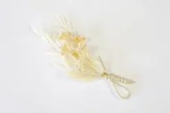 BOUQUET DE LAGURUS SECHE ET GYPSO SUR CARTE ROSE