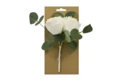 BOUQUET DE ROSES ET TIGE D EUCALYPTUS SUR CARTE BLANC