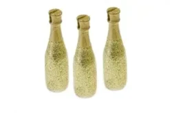 BOUTEILLE DE CHAMPAGNE PORTE NOM X3 PIECES
