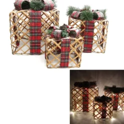 CADEAU LUMINEUX BRANCHES 20CM