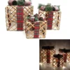 CADEAU LUMINEUX BRANCHES 25CM