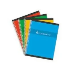 1 CAHIER RIGIDE 17X22 100P 70GR