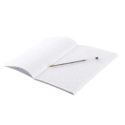 CARNET DE NOTES FLAMANT A5