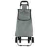 CHARIOT SHOPPING 4 ROUES POLYESTER