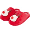 CHAUSSONS RENNE