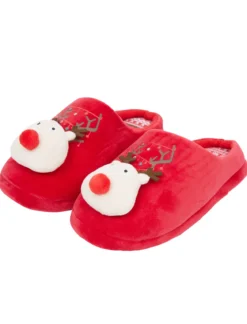CHAUSSONS RENNE