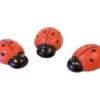 COCCINELLE EN BOIS X6 PIECES