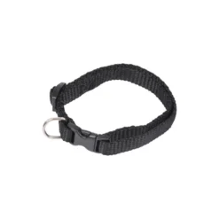 COLLIER REGLABLE 25 A 35CM NOIR