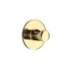 CROCHET ZINC PEINT 3M DORE
