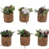 DECOR ET PIN 11X7CM AVEC COTON