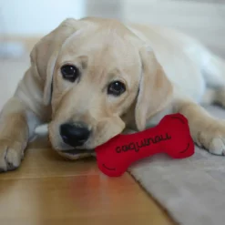 DOUDOU POUR ANIMAL