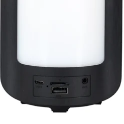 ENCEINTE PORTABLE LED SANS FIL 27.5CM