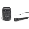 ENCEINTE SANS FIL 5W KARAOKE MICRO INTEGRE