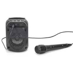 ENCEINTE SANS FIL 5W KARAOKE MICRO INTEGRE