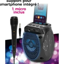 ENCEINTE SANS FIL 5W KARAOKE MICRO INTEGRE