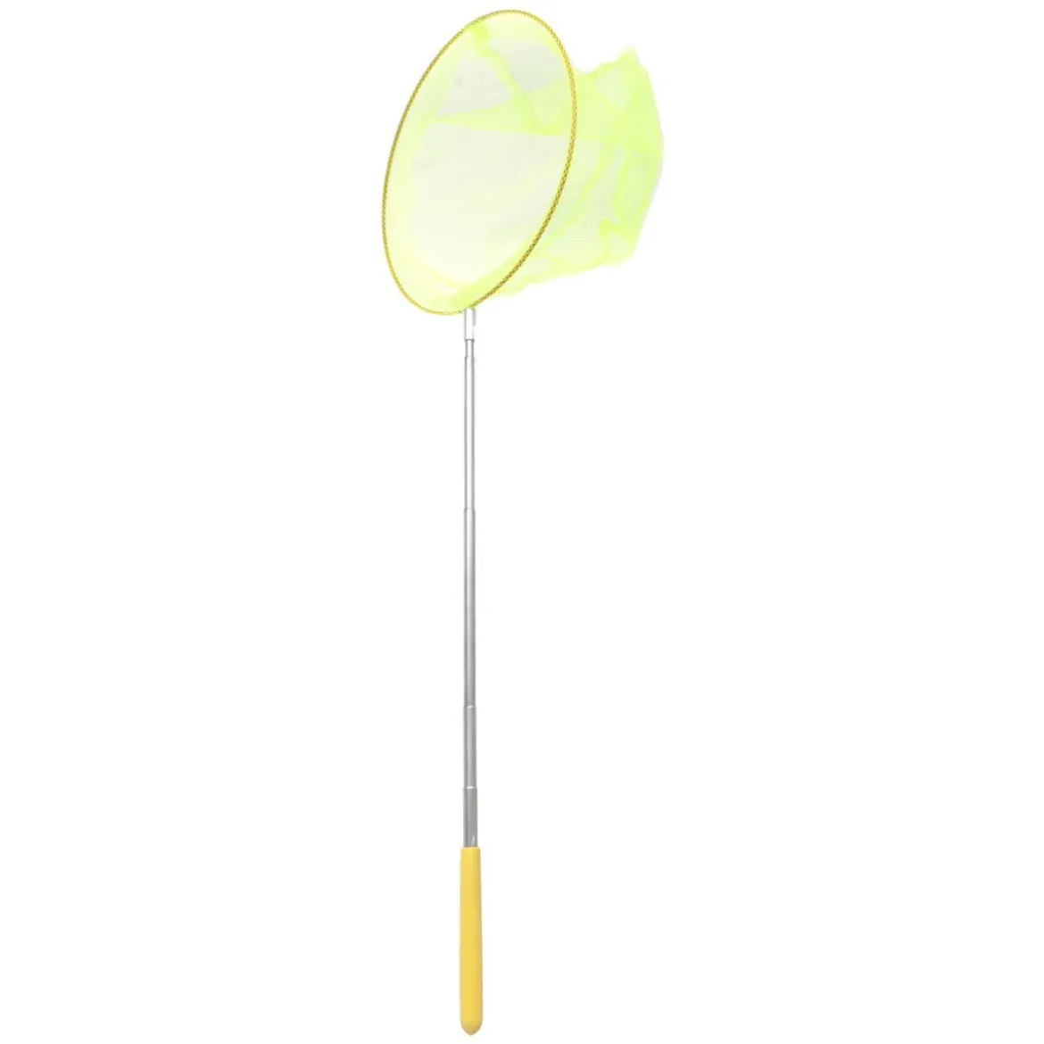 EPUISETTE A POISSON 87CM