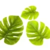 FEUILLE MONSTERA 3 TAILLES X6 PIECES