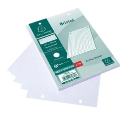 50 FICHES BRISTOL 148X210CM