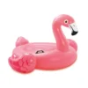 FLAMANT ROSE A CHEVAUCHER
