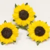 FLEUR DES CHAMPS X12 PIECES JAUNE