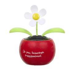 FLEUR SOLAIRE DANSANTE