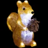 FORME ACRYLIQUE EXTERIEUR ECUREUIL 20LEDS H.20CM