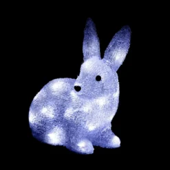 FORME ACRYLIQUE EXTERIEUR LAPIN 30LEDS H.24CM