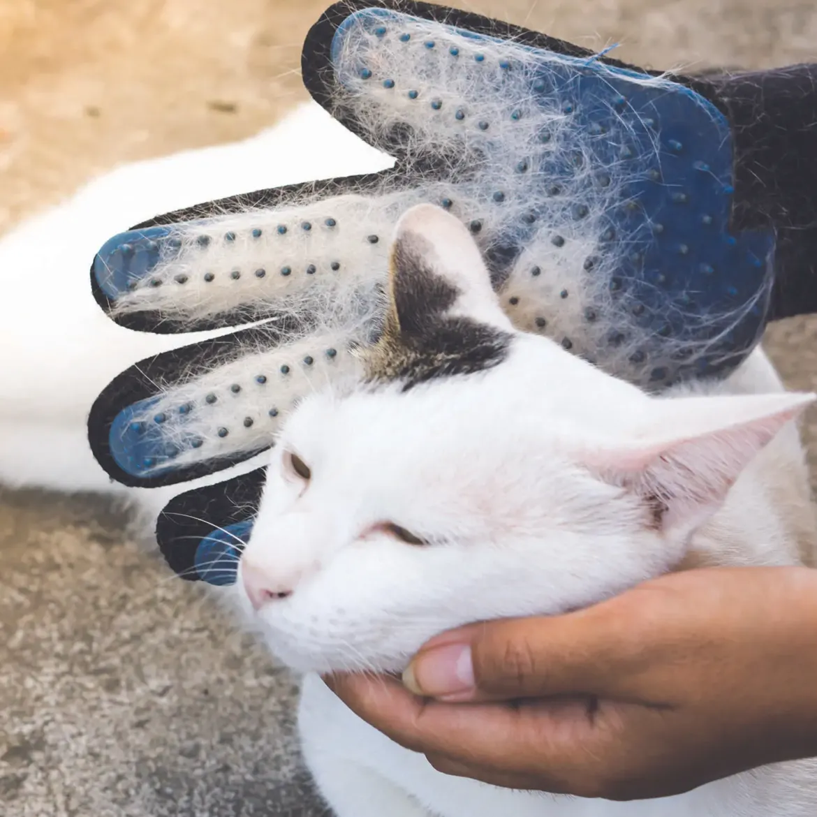 GANT MAGIQUE ANTI POILS ANIMAUX