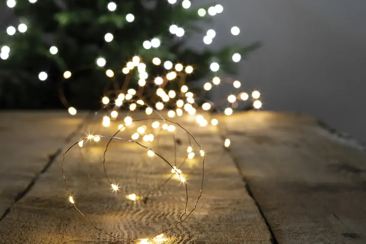 GUIRLANDE EXTERIEUR COPPER 100LEDS BLANC CHAUD