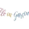 GUIRLANDE GENDER REVEAL 2.5M