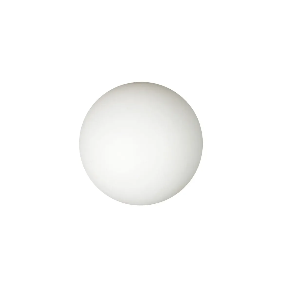 JEU DE PING PONG FANTAISIE CHIEN