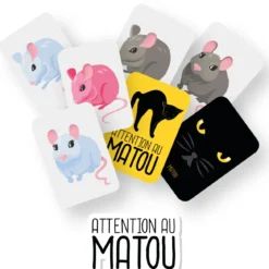 JEU DES PAIRES 60 CARTES