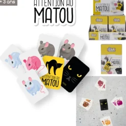 JEU DES PAIRES 60 CARTES
