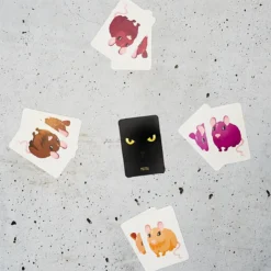 JEU DES PAIRES 60 CARTES
