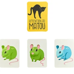 JEU DES PAIRES 60 CARTES