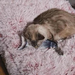 JEU INTERACTIF POISSON POUR ANIMAUX