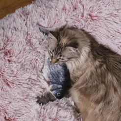 JEU INTERACTIF POISSON POUR ANIMAUX