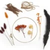 KIT DECORATION FLEURS SECHEES D.18CM