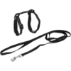 KIT HARNAIS ET LAISSE POUR CHAT 20 A 30CM 120CM NOIR
