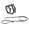 KIT HARNAIS LAISSE CHAT 20>28CM 120CM REFLECHISSANT N