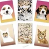KIT TABLEAUX STICKERS NUMERO A4 CHIEN ET CHAT X2 PIECES