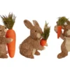 LAPIN ET SA CAROTTE